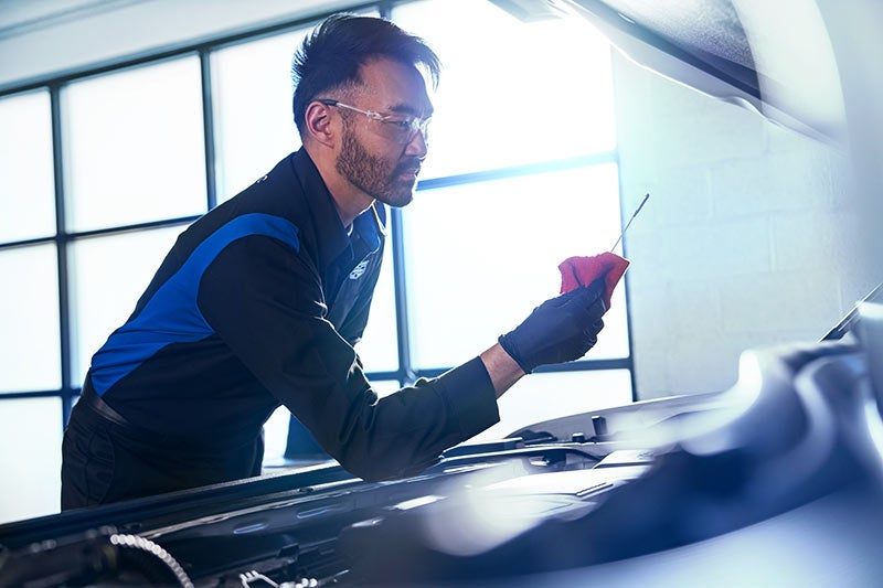 Man doing an oil check